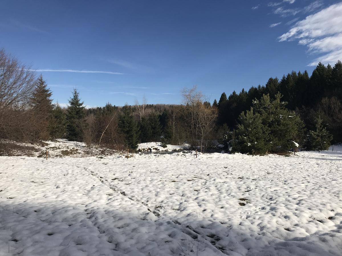 Vila Eden Porumbacu de Sus Exteriör bild