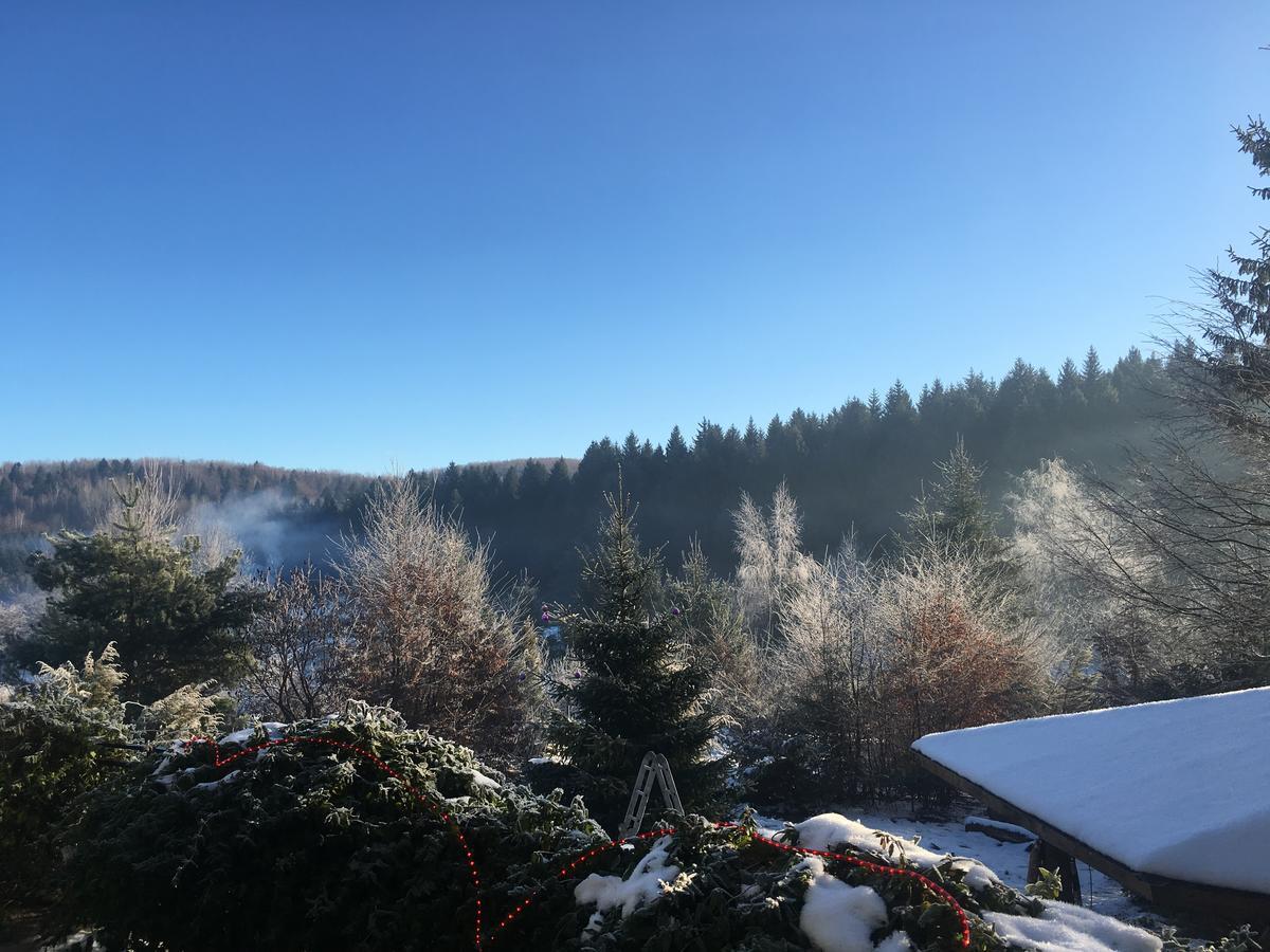Vila Eden Porumbacu de Sus Exteriör bild