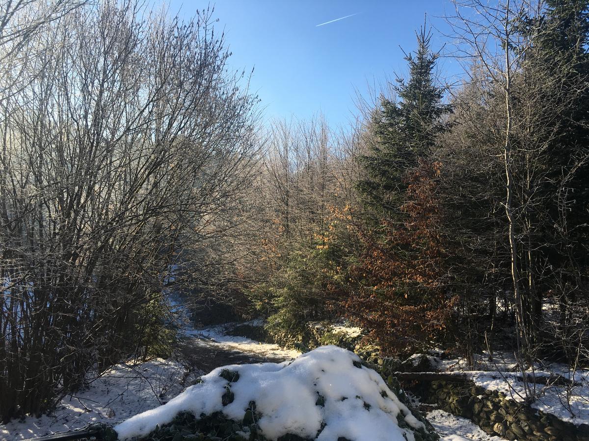 Vila Eden Porumbacu de Sus Exteriör bild