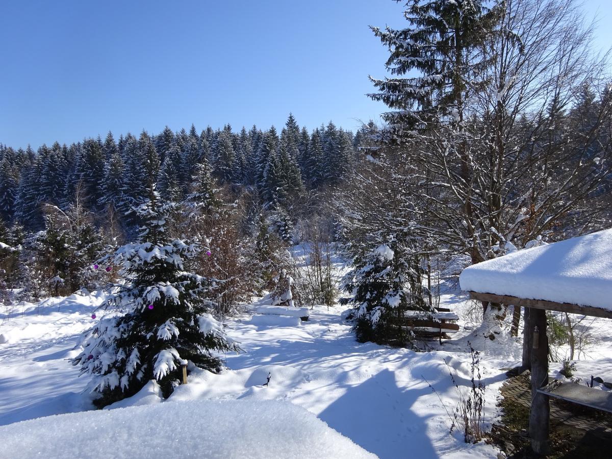 Vila Eden Porumbacu de Sus Exteriör bild